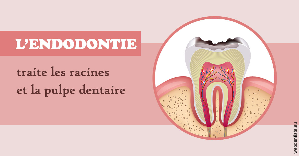 https://dr-yoanna-lumbroso-abtan.chirurgiens-dentistes.fr/L'endodontie 2