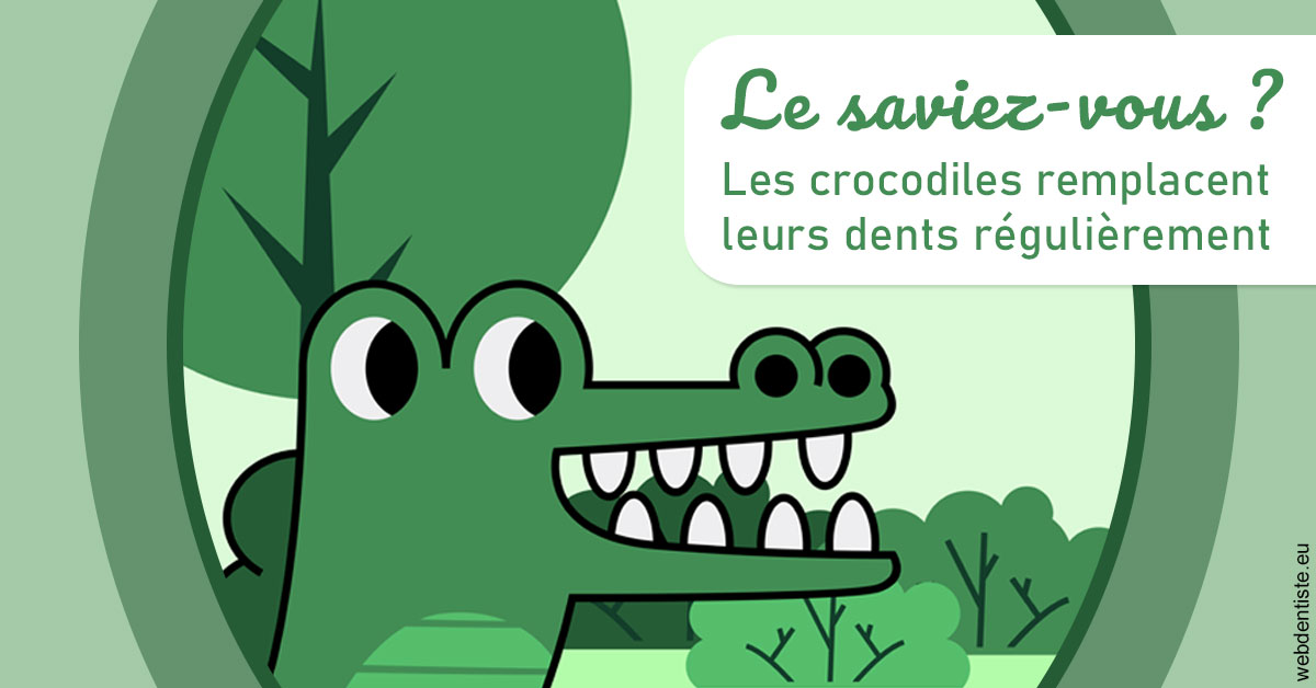 https://dr-yoanna-lumbroso-abtan.chirurgiens-dentistes.fr/Crocodiles 2